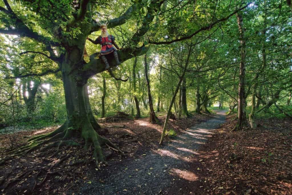 Lullymore Heritage And Discovery Park