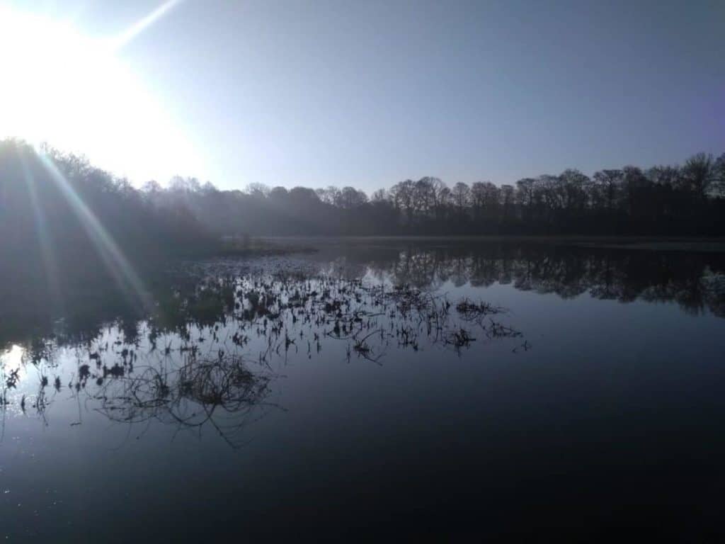 Records Pond, Laurel