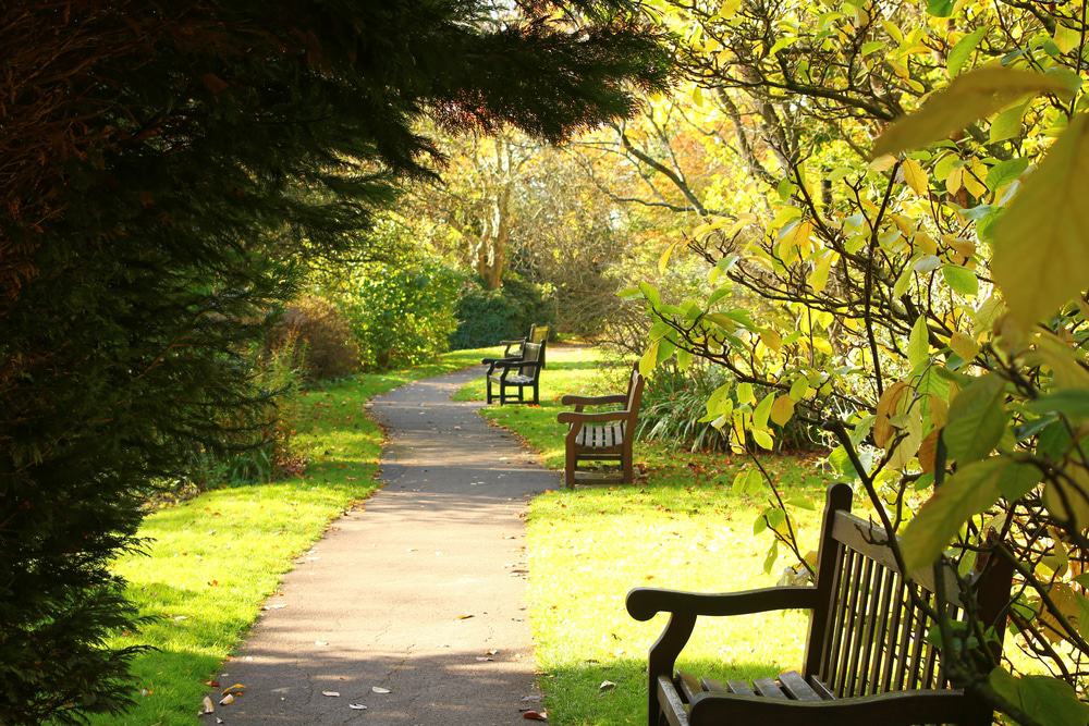 Royal Victoria Park