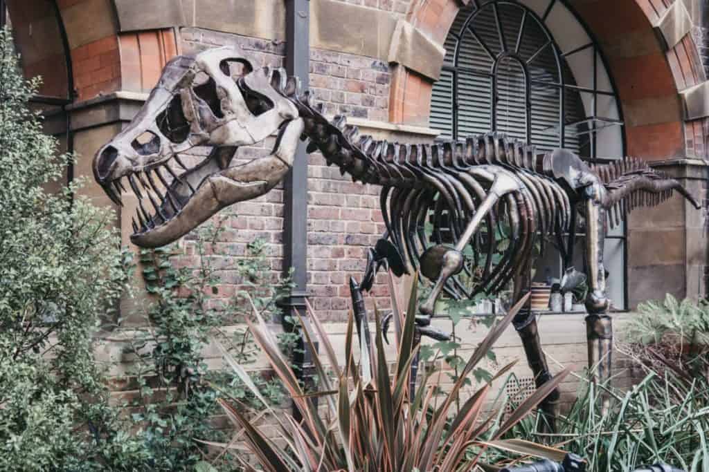 Sedgwick Museum Of Earth Sciences