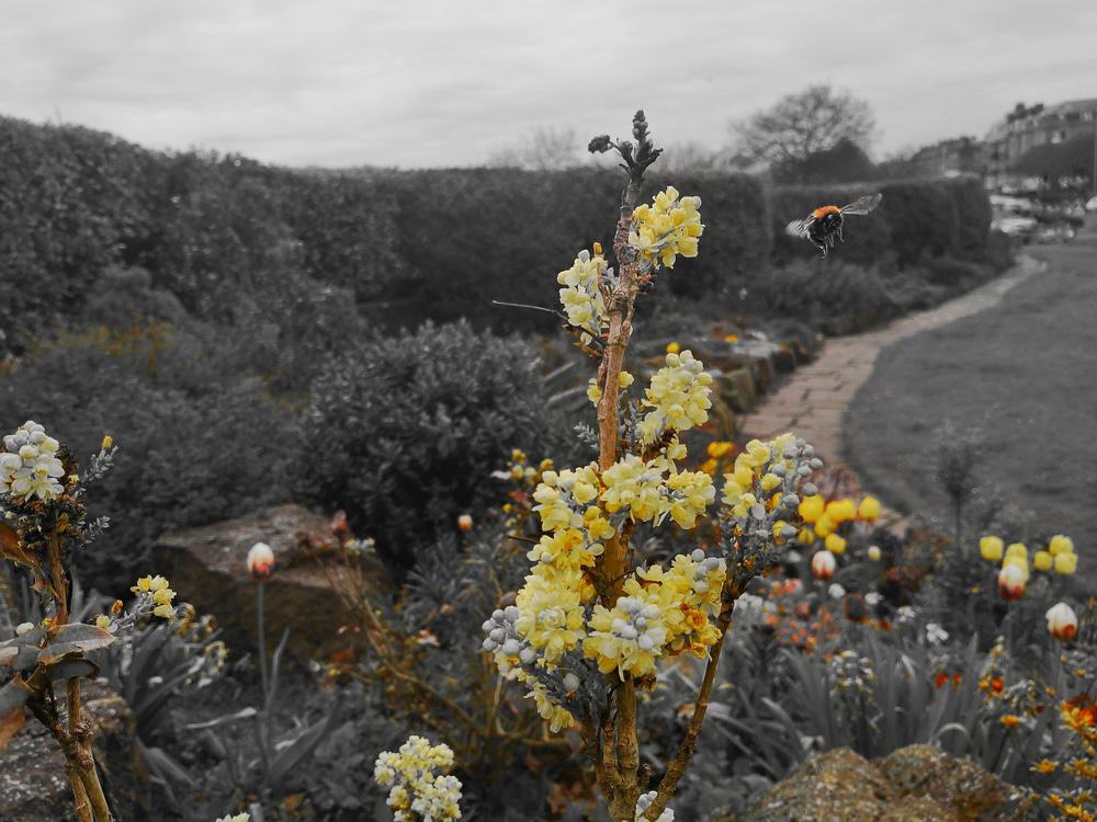 South Cliff Italian Gardens