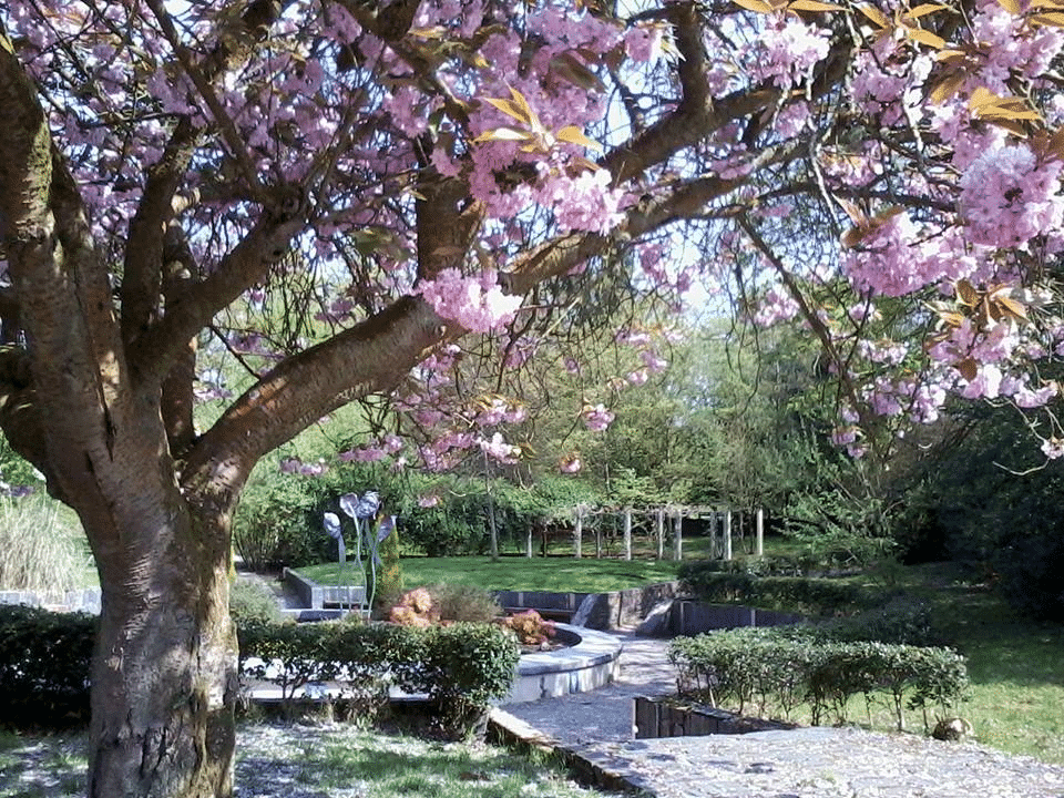 St Columb's Park