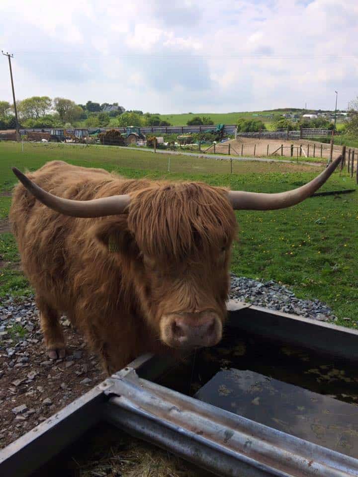Streamvale Open Farm