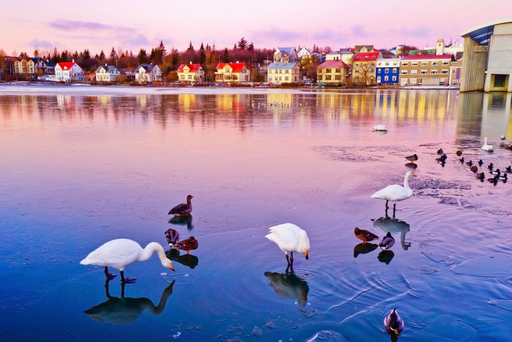 Tjörnin