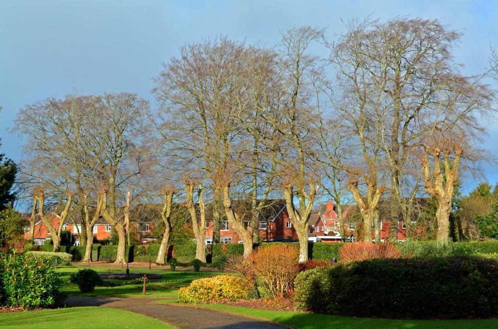 Wellington Country Park