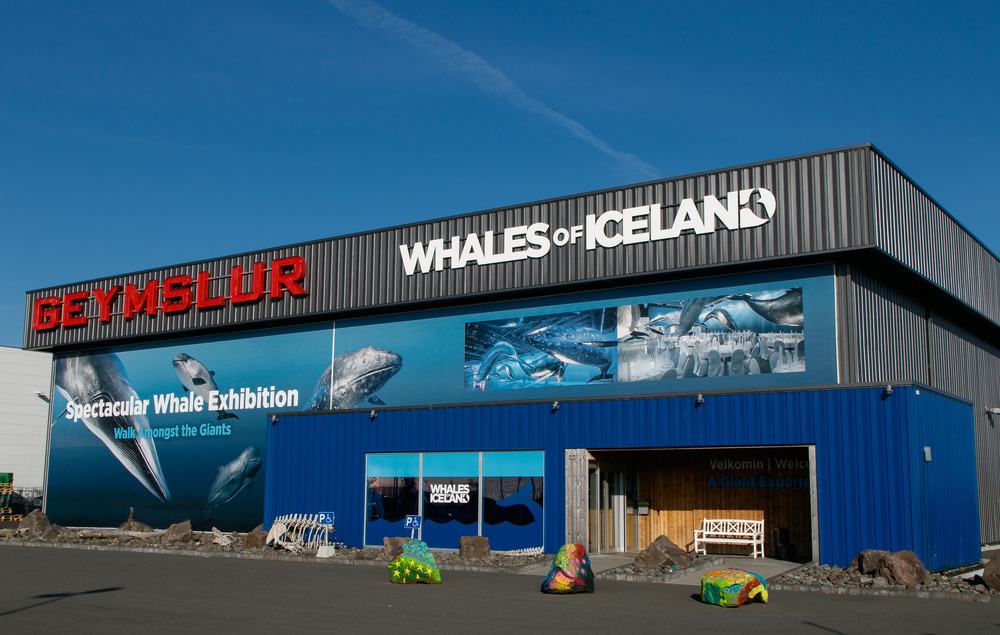 Whales Of Iceland