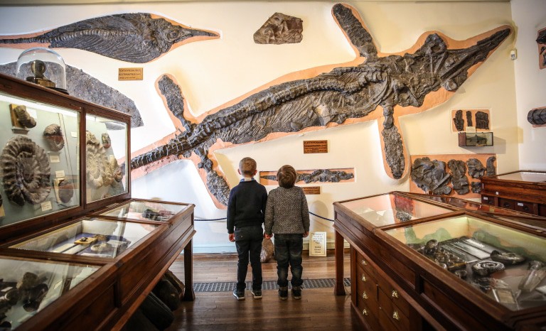 Whitby Museum
