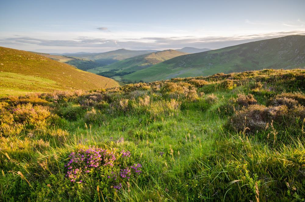 Wicklow Mountains National Park