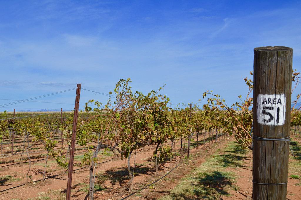 Sonoita Wine Trail