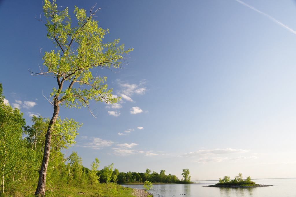 Cap-Saint-Jacques Nature Park
