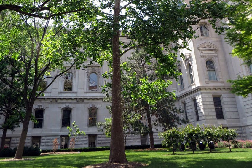 Indianapolis Moon Tree, Indianapolis