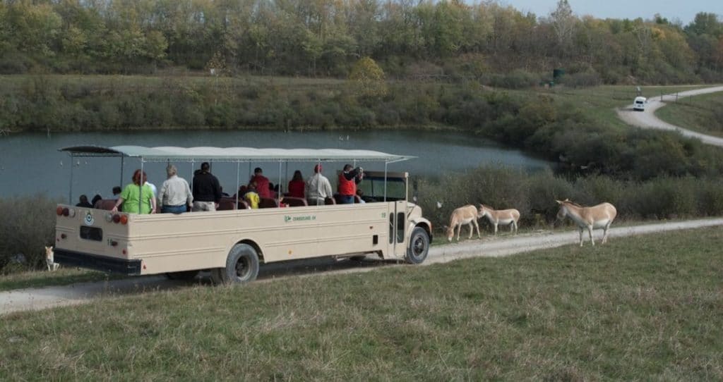 The Wilds, Cumberland