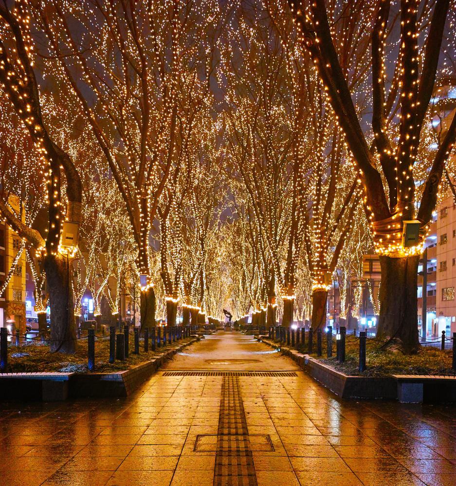 Sendai Pageant of Starlight