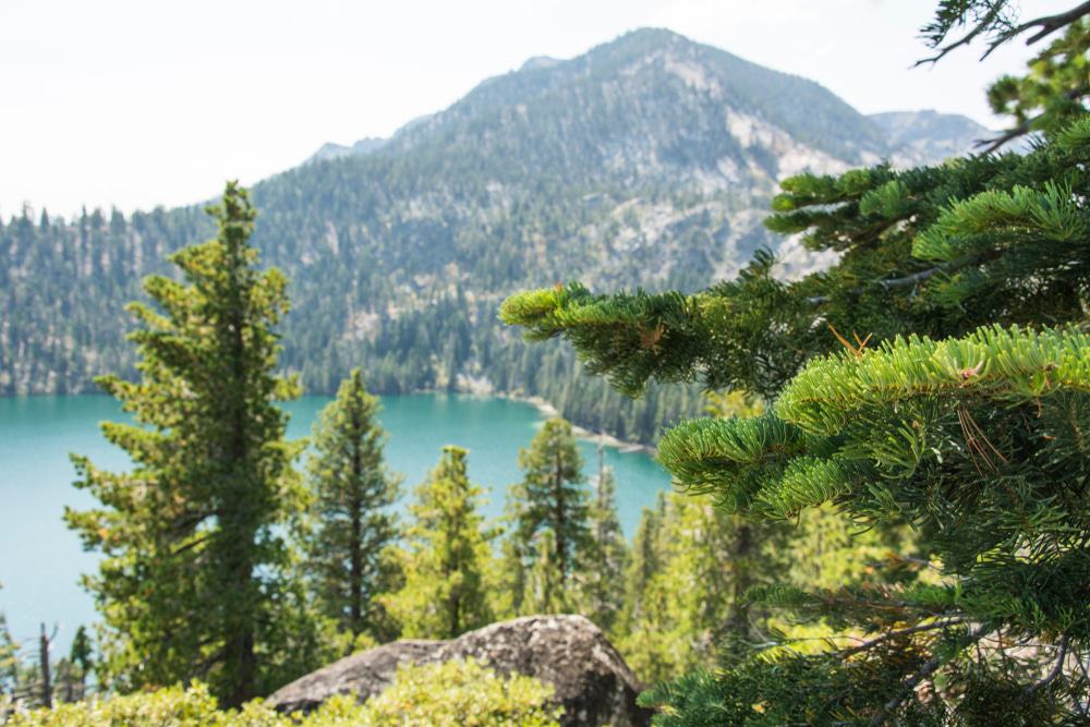 Tahoe National Forest