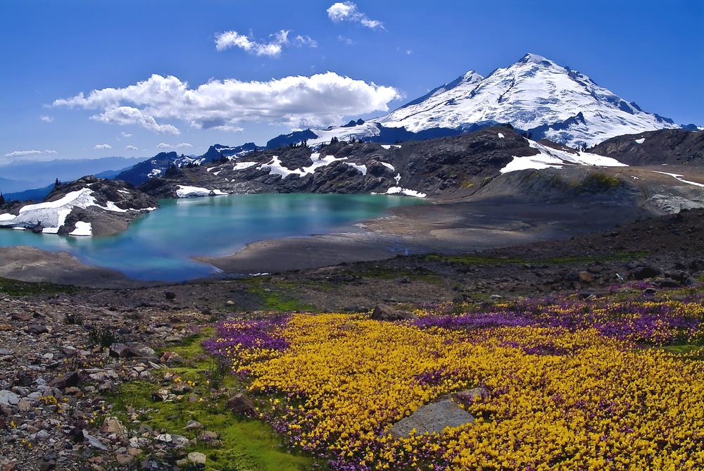 Mount Baker, Washington