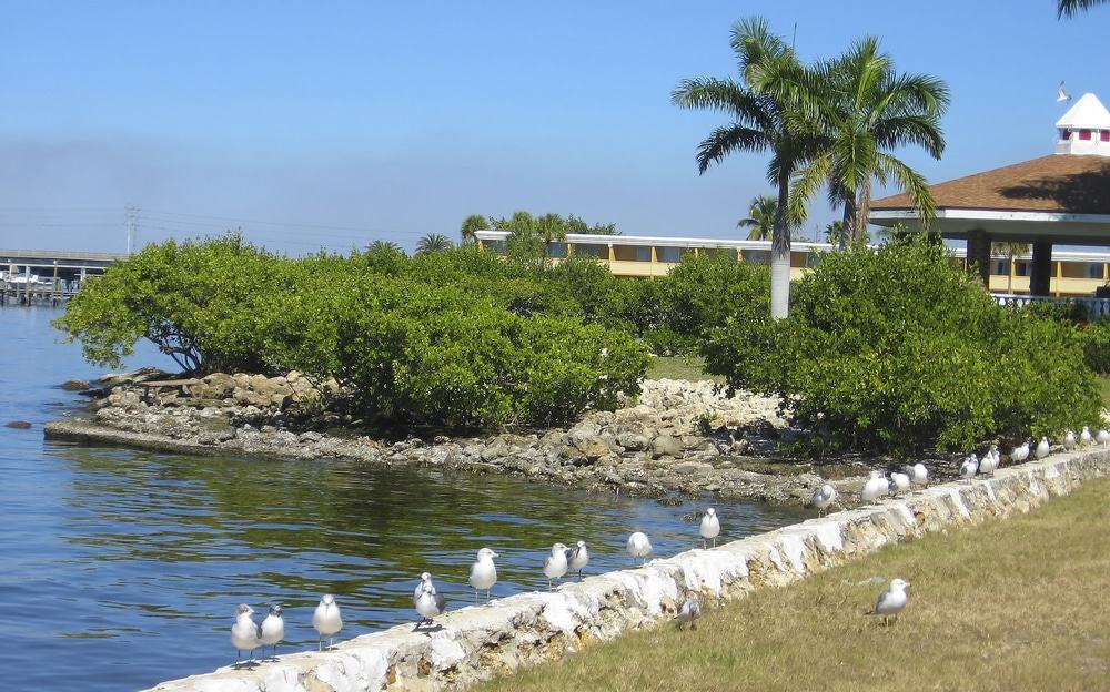 Punta Gorda, Florida