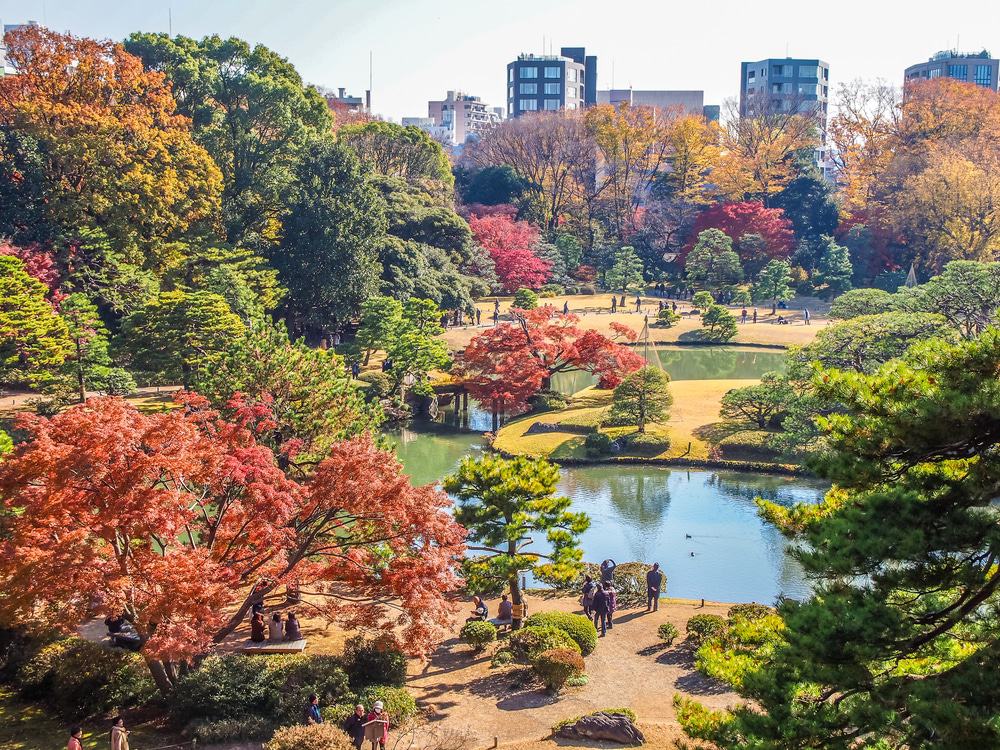 Rikugien Garden in Autumn