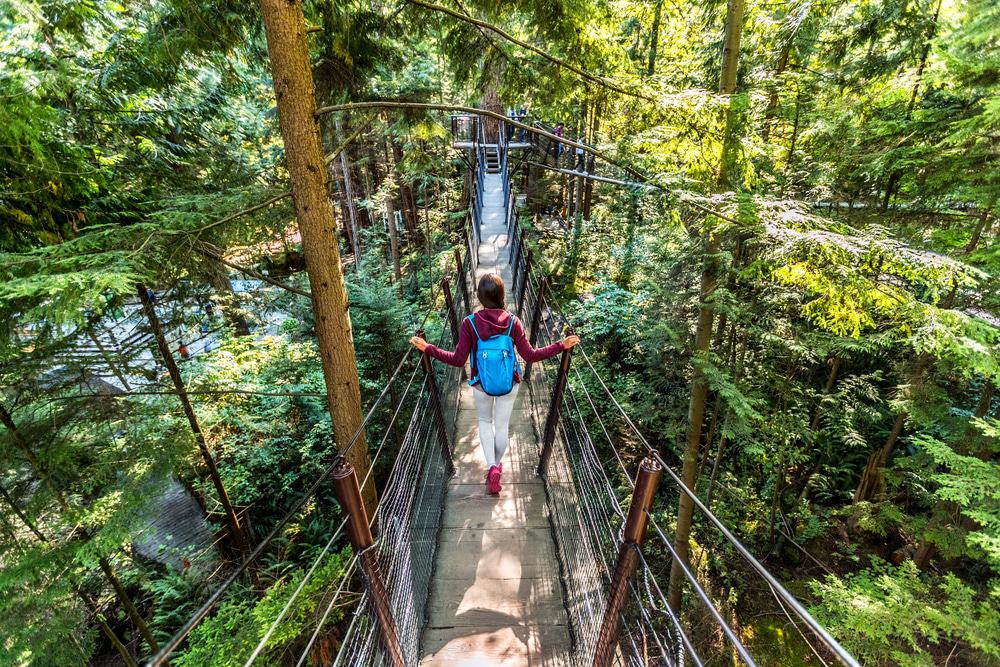 Capilano Suspension Bridge Park