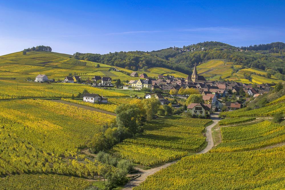 Route des vins d'Alsace