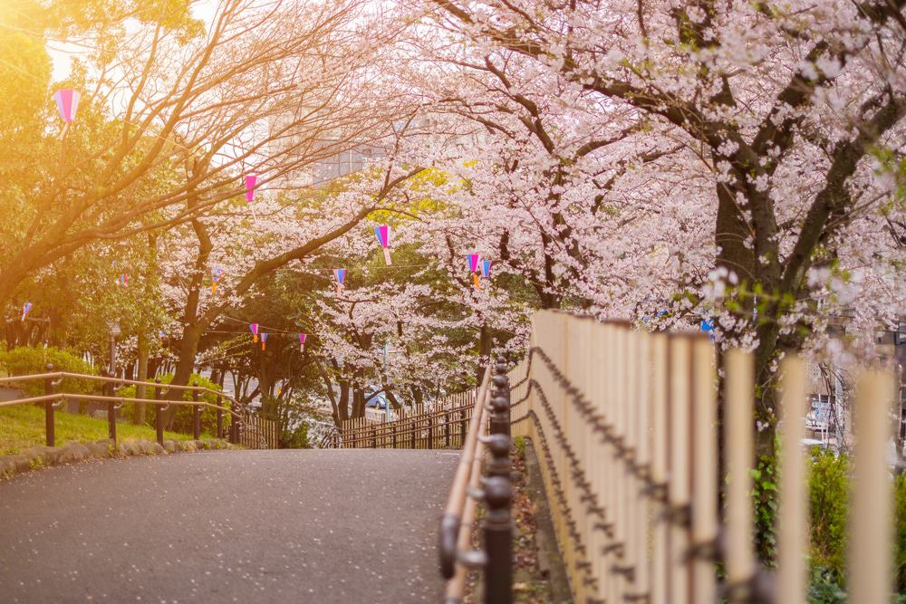 Asukayama Park, Tokyo