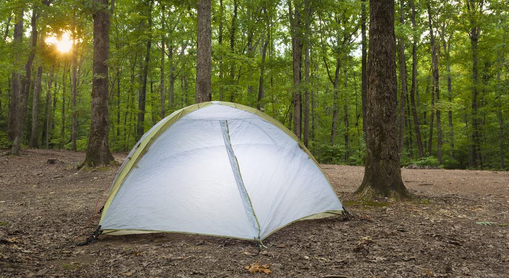 Uwharrie National Forest