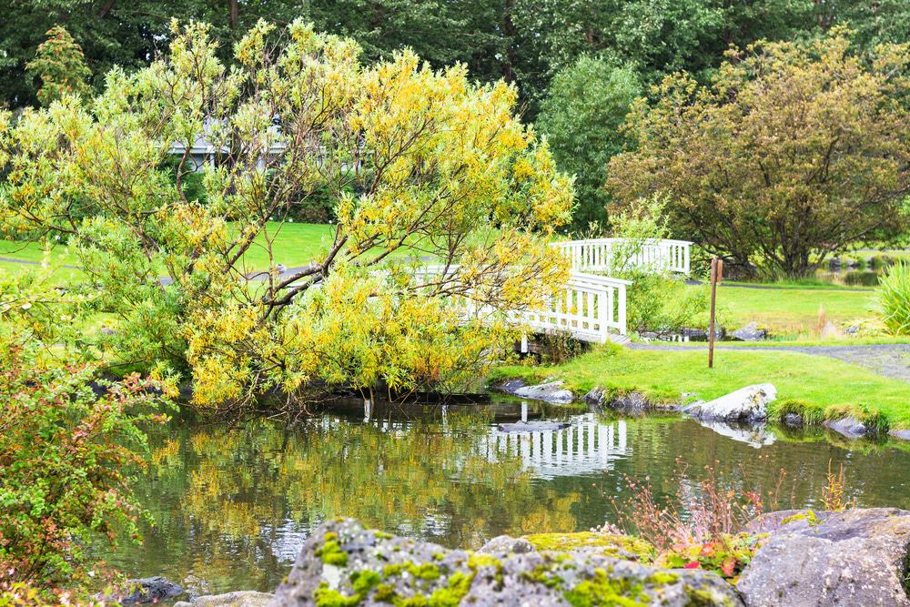 Laugardalur Botanical Garden
