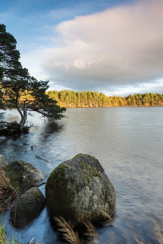  Loch Garten in the Cairngorms National Park of Scotland
