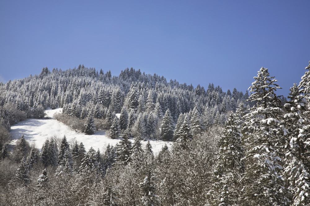 Mount Eckbauer