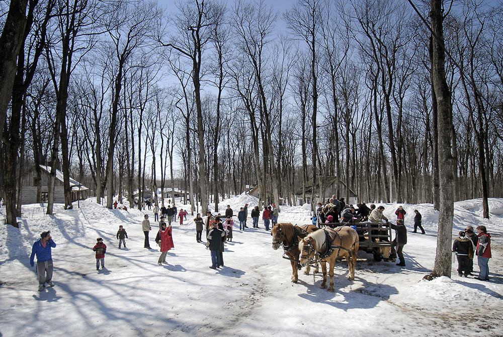 Sucrerie de la Montagne