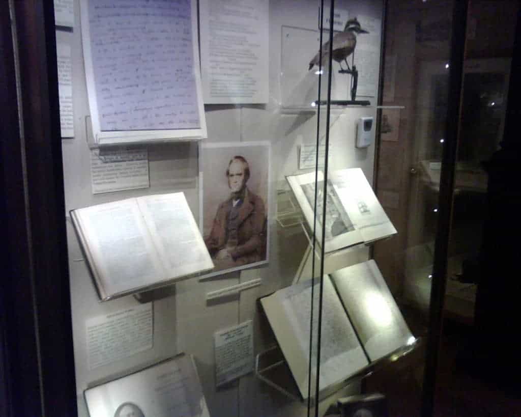 Eton College Natural History Museum