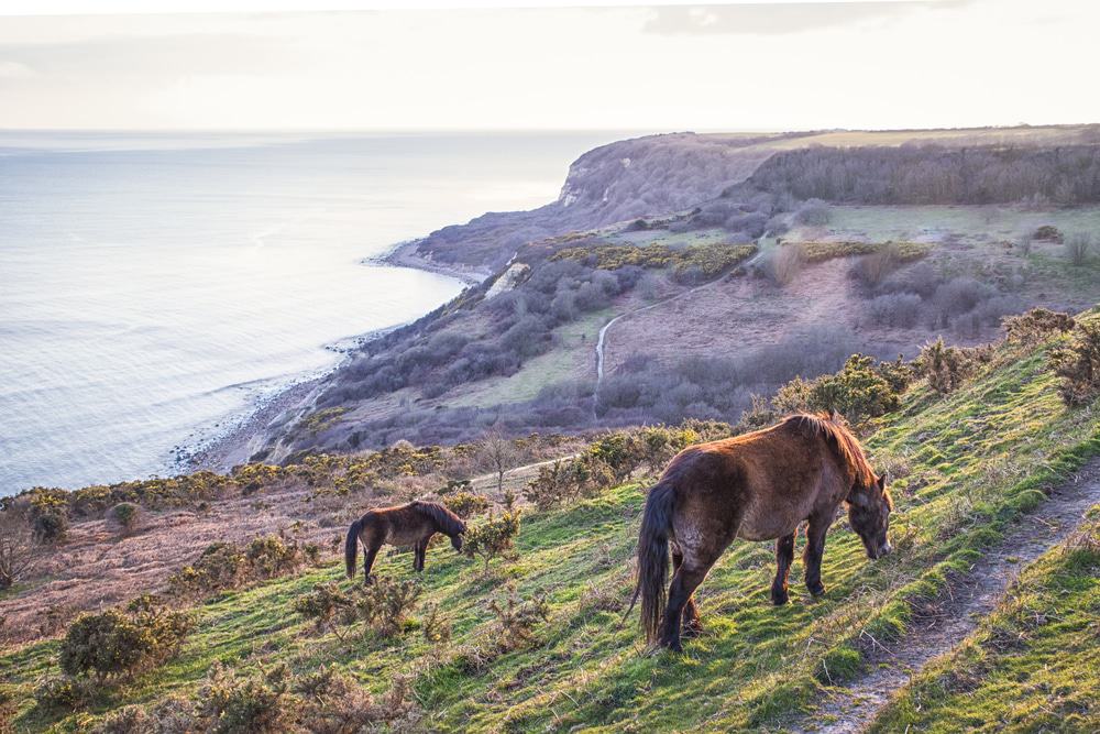 Hastings Country Park