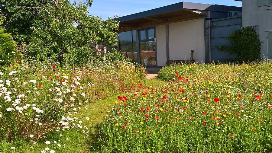 Hengistbury Head Visitor Centre