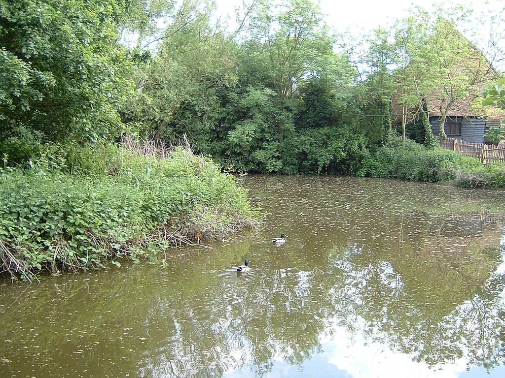 Manor Farm Country Park