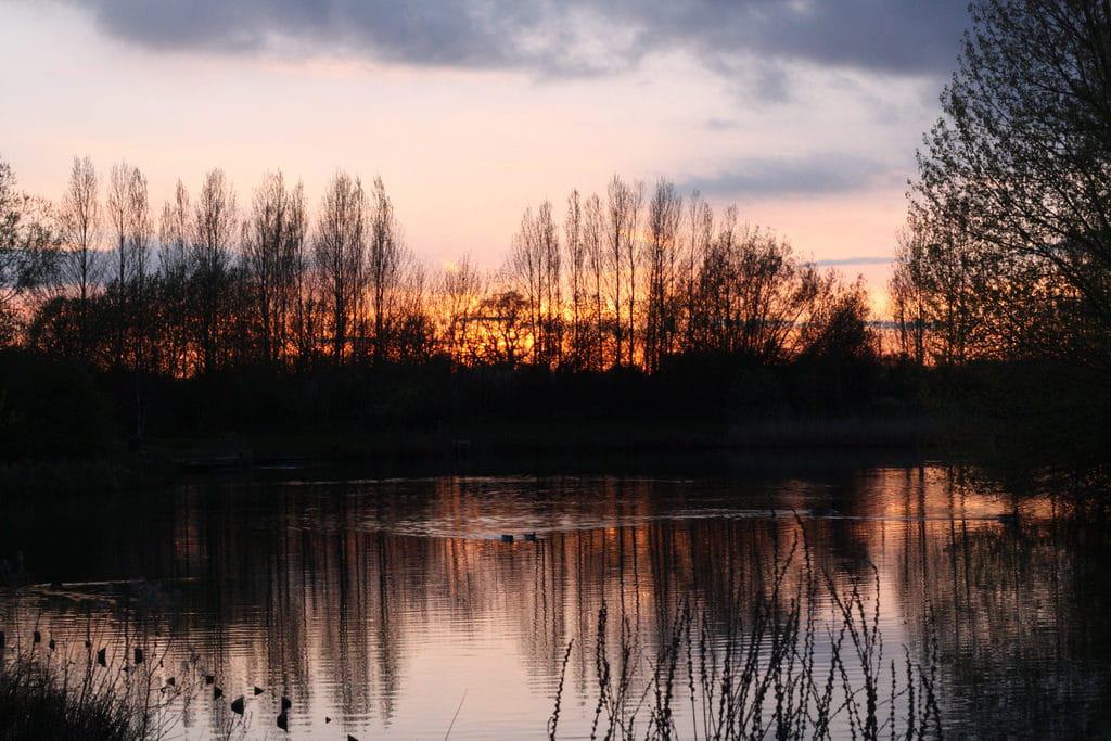 Mouldon Hill Country Park
