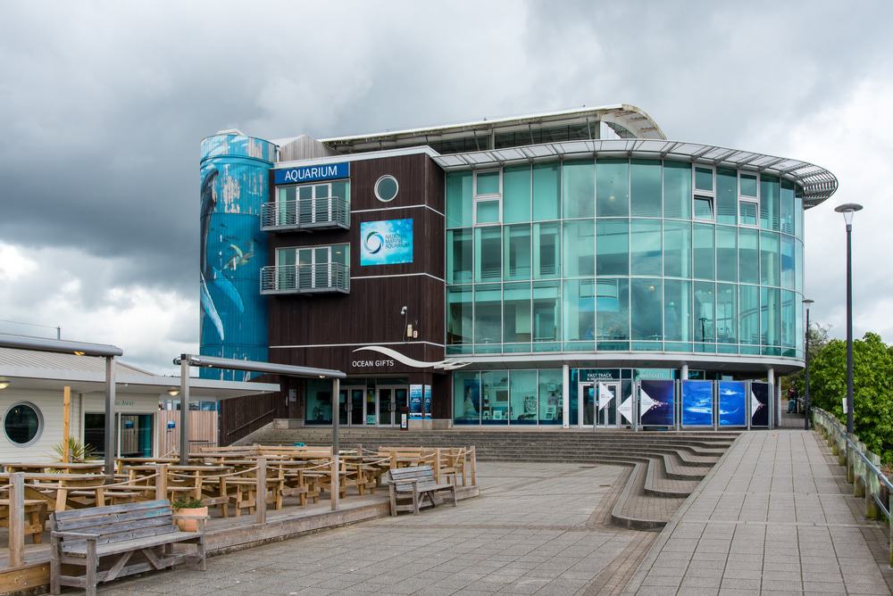 National Marine Aquarium