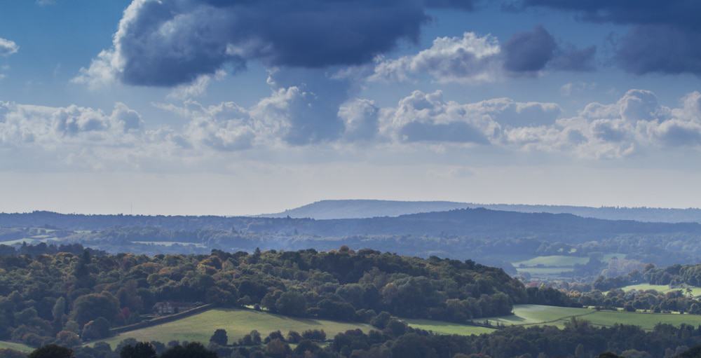 Newlands Corner