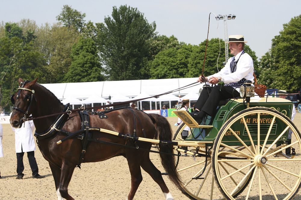Royal Windsor Horse Show