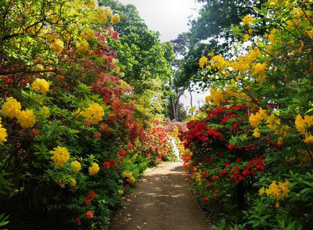 Sir Harold Hillier Gardens