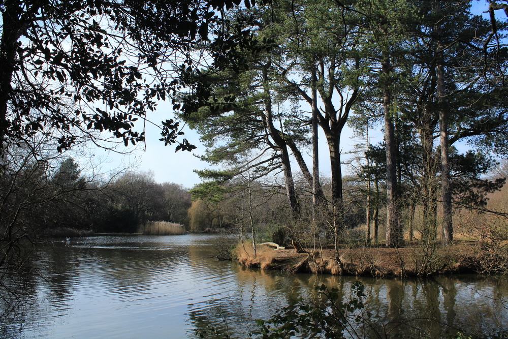 Southampton Common