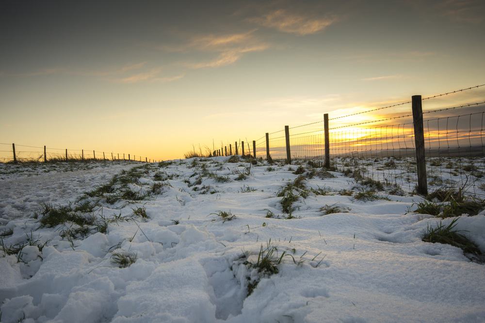 The Ridgeway