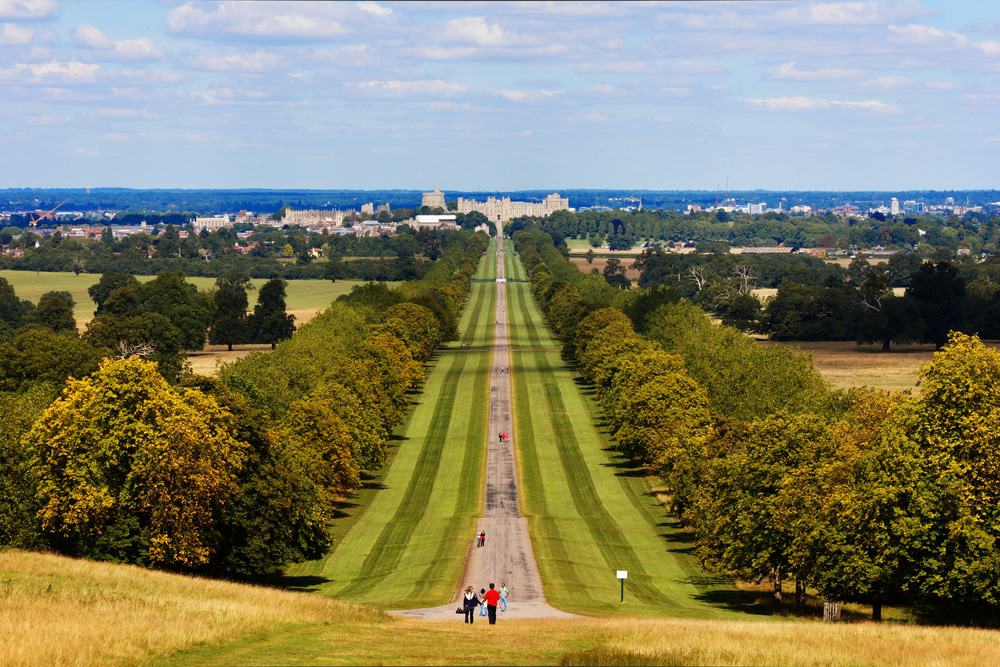 Windsor Great Park