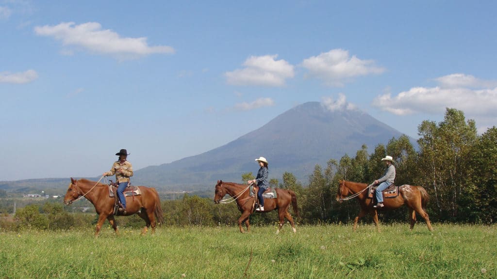 Niseko Horse Riding