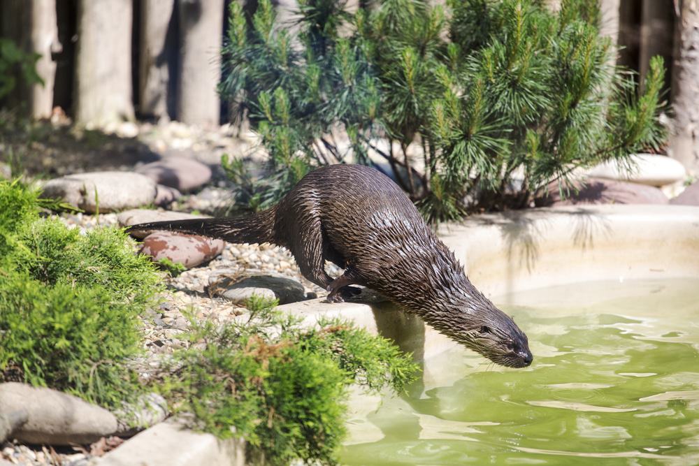 Roger Williams Park Zoo