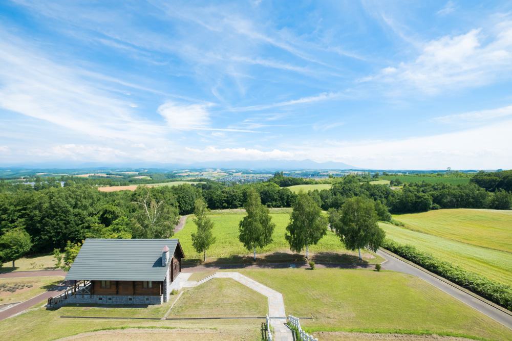 Asahikawa Landscape