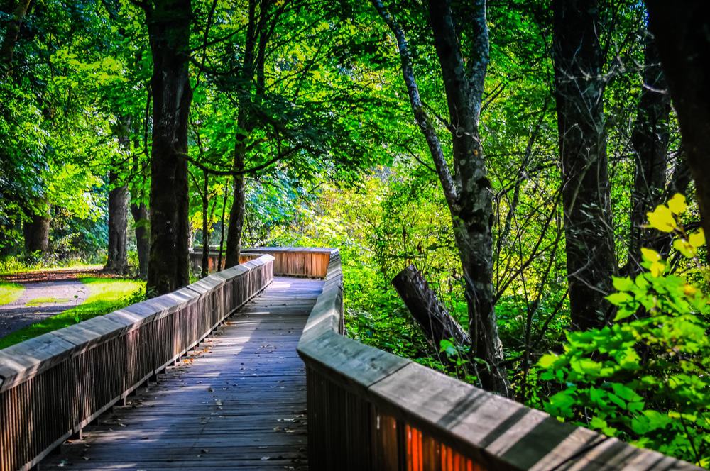 Nisqually National Wildlife Refuge, Washington State