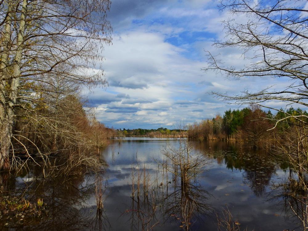 Noxubee Refuge, Starkville