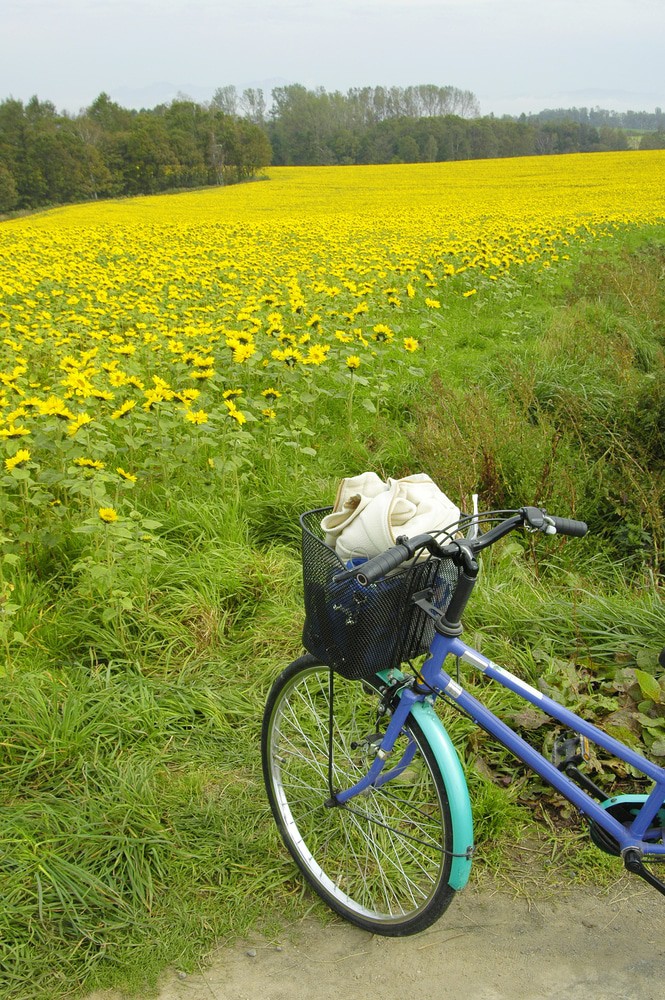 Cycling in Furano