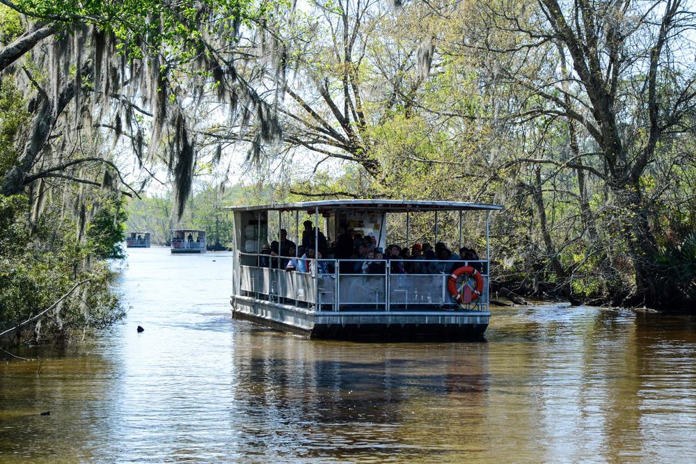 Louisiana Swamp Tour
