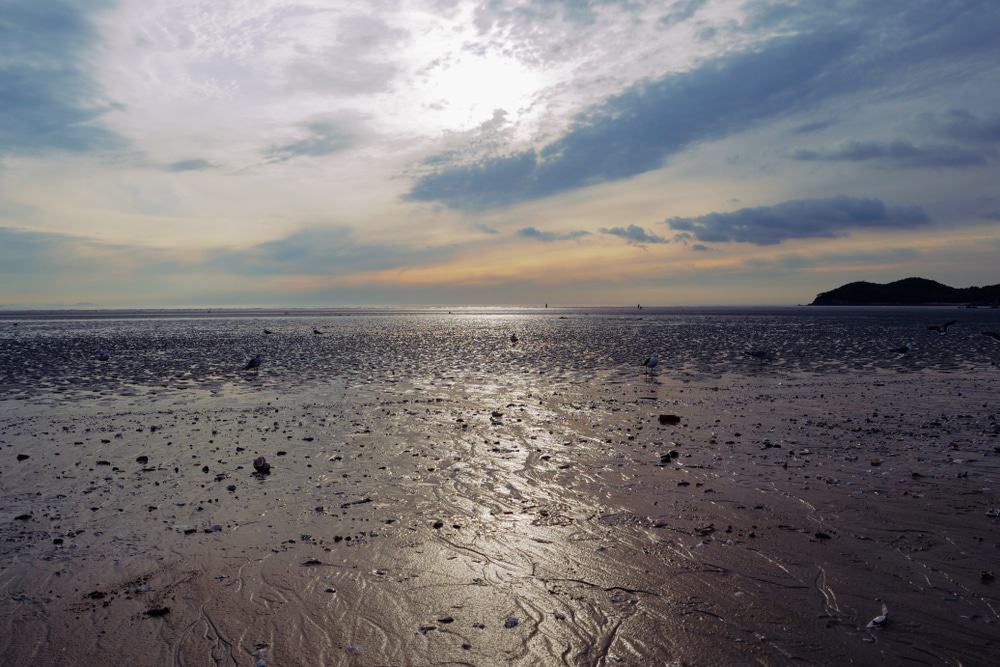 Hanagae Beach, Muuido Island