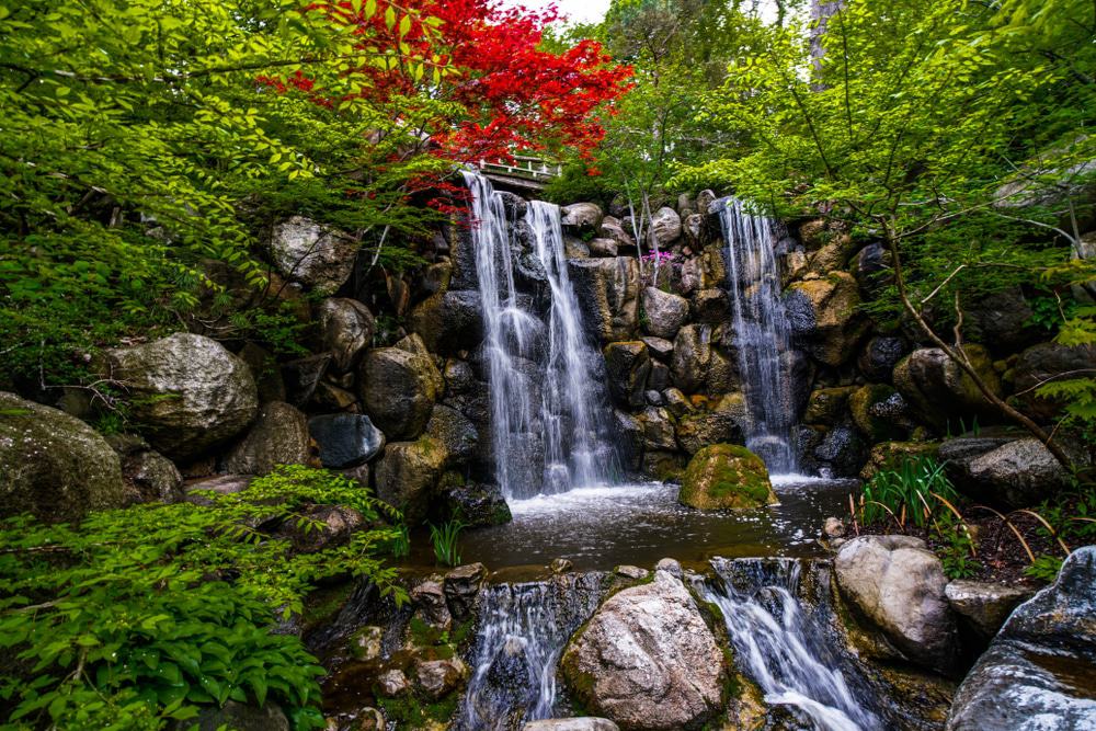 Anderson Japanese Gardens